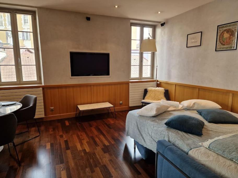 Appartement Annecy Centre Historique Parking Inclus Ngoại thất bức ảnh